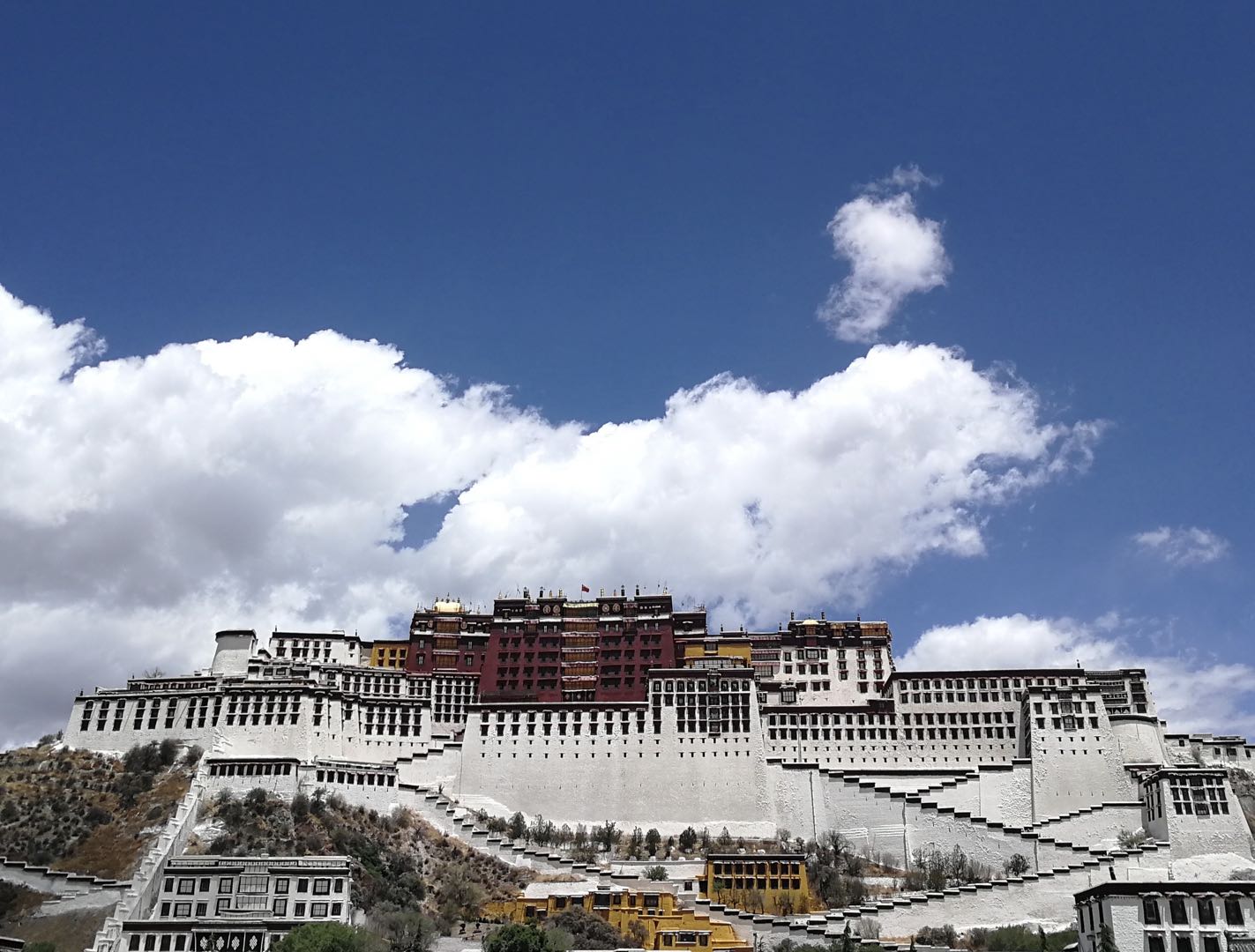 出かけられない春の観光シーズン、ライブ配信によるバーチャル旅行が人気