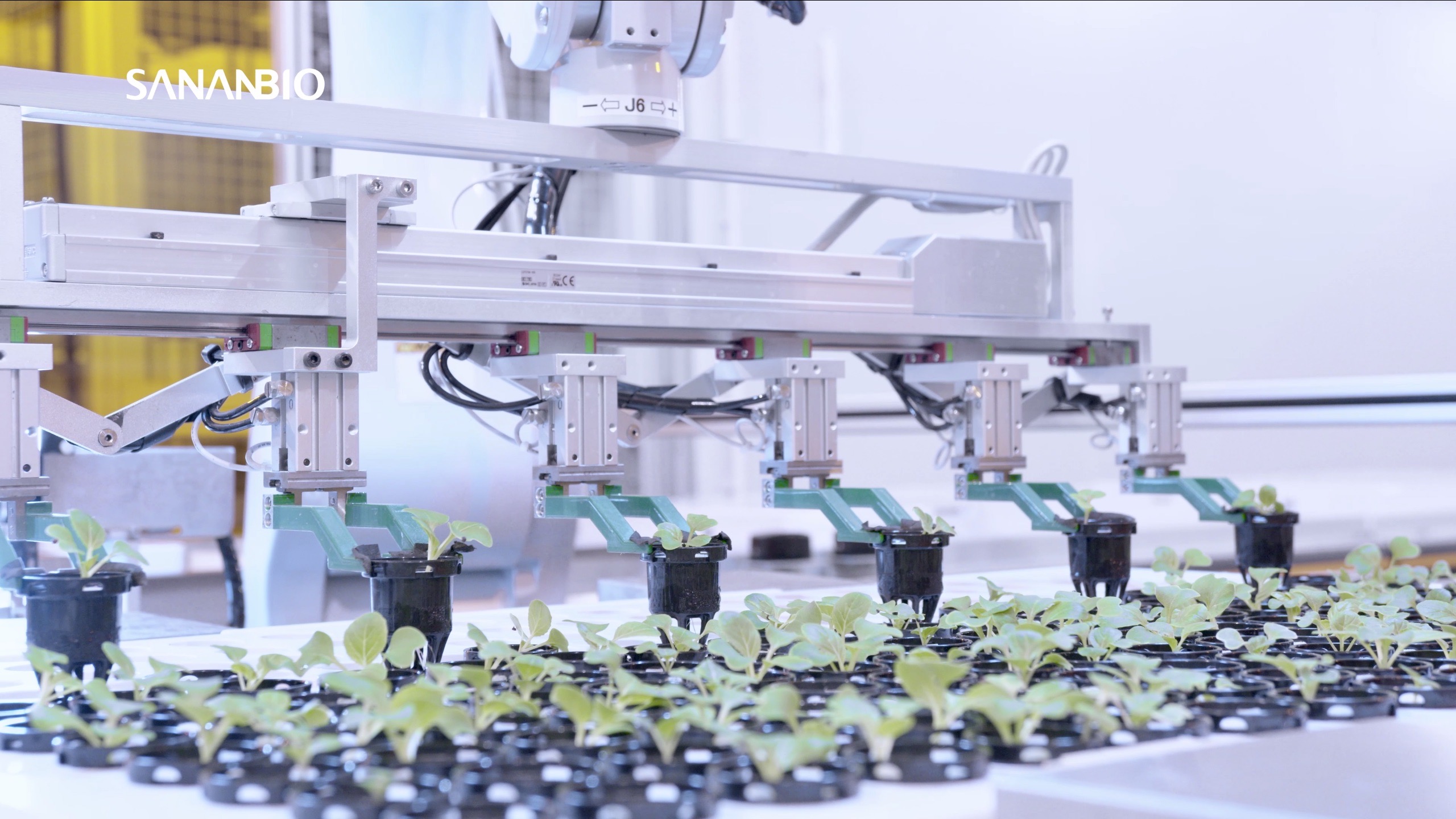 高層ビル内部で農業、中国新興企業が米国など世界各国に自動化栽培技術を提供