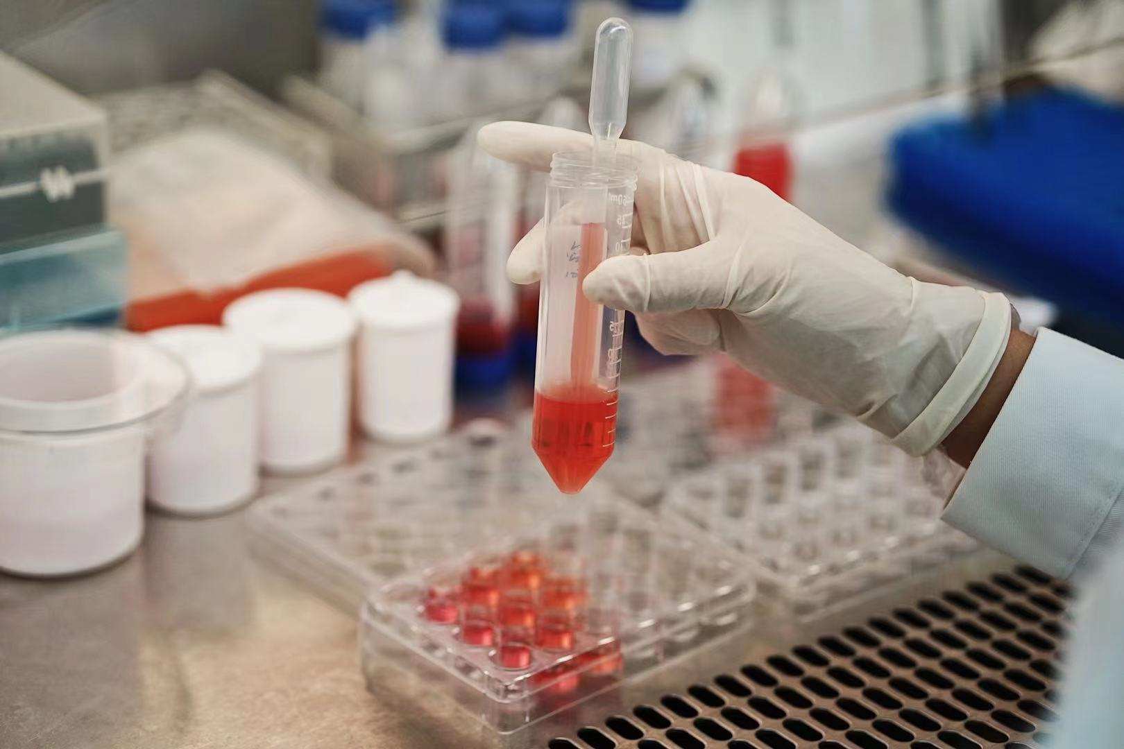 3Dバイオプリンティング技術で培養肉生産、人工肉企業「CellX」が数千万円調達