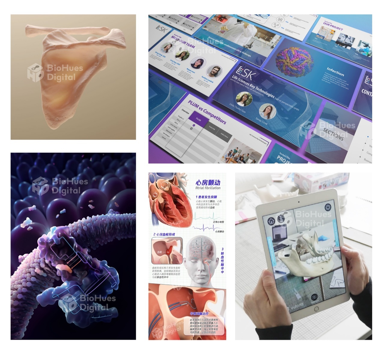 画像や動画を通じて医学情報を可視化・簡素化、医療研修や営業にも一役