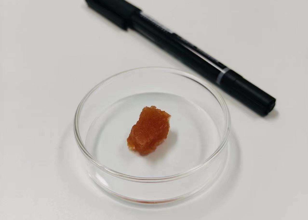 中国代替肉ベンチャー、5年以内に細胞培養肉のコストを1キロ2000円に引き下げる計画