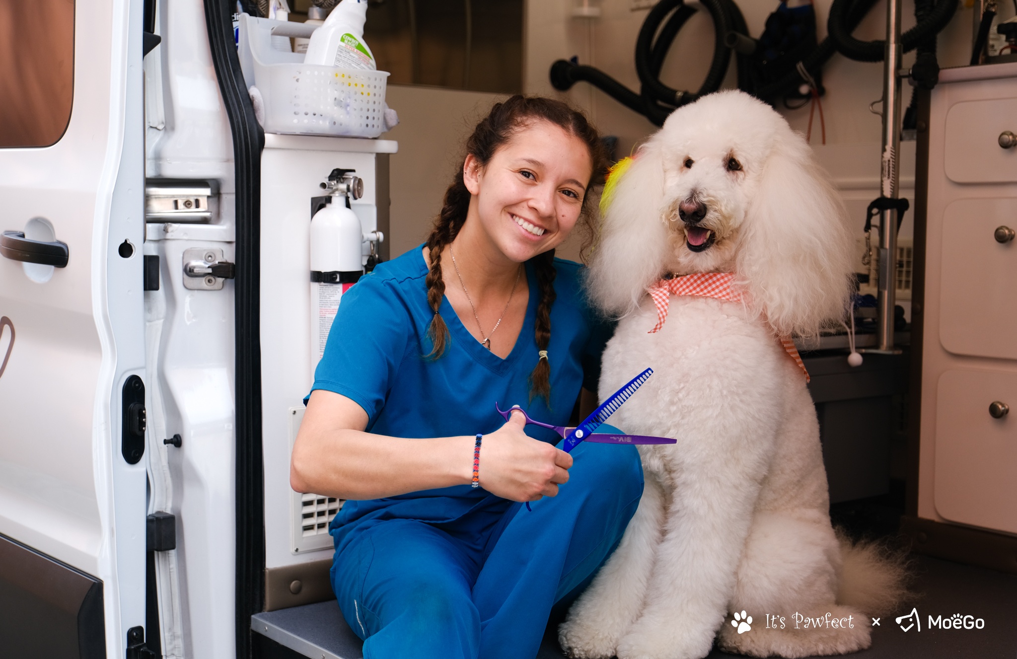 ペットケア業務支援SaaSの「MoeGo」、北米展開を強化　13億円調達