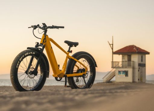 中国発電動自転車「VELOTRIC」、急拡大の北米市場に照準