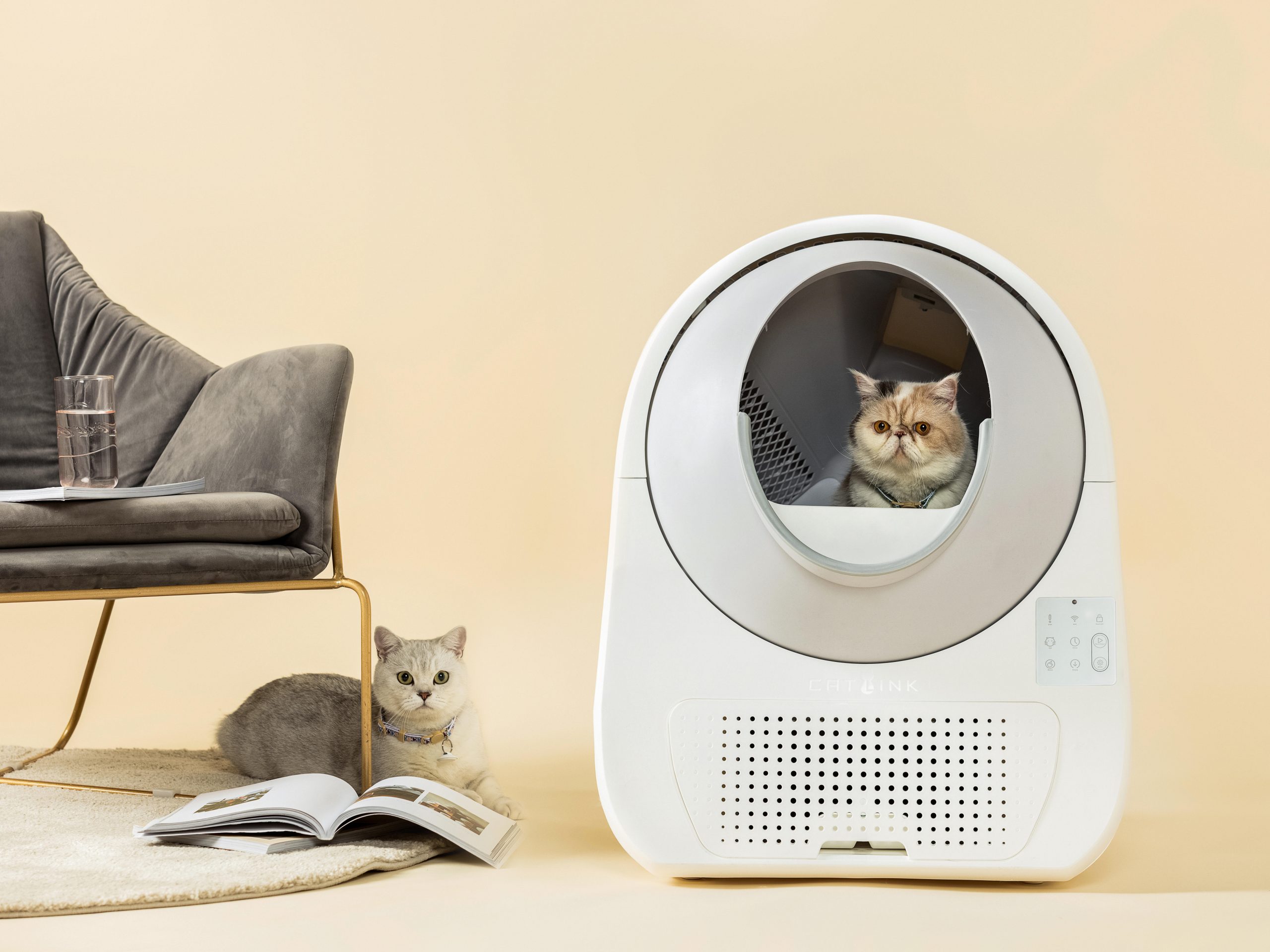 猫の「顔認識」で多頭飼いに対応、アプリで健康チェック。ペット用“スマートトイレ”が人気の理由