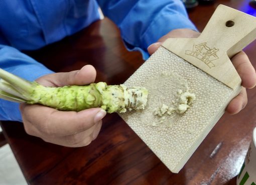 中国・雲南のワサビ、アジアを席巻　日本・韓国など68カ国へ輸出拡大