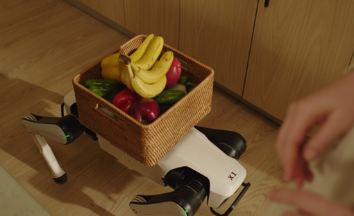 “走る・運ぶ・対話する” 家庭用ロボット犬、中国DOBOTが16万円で発売