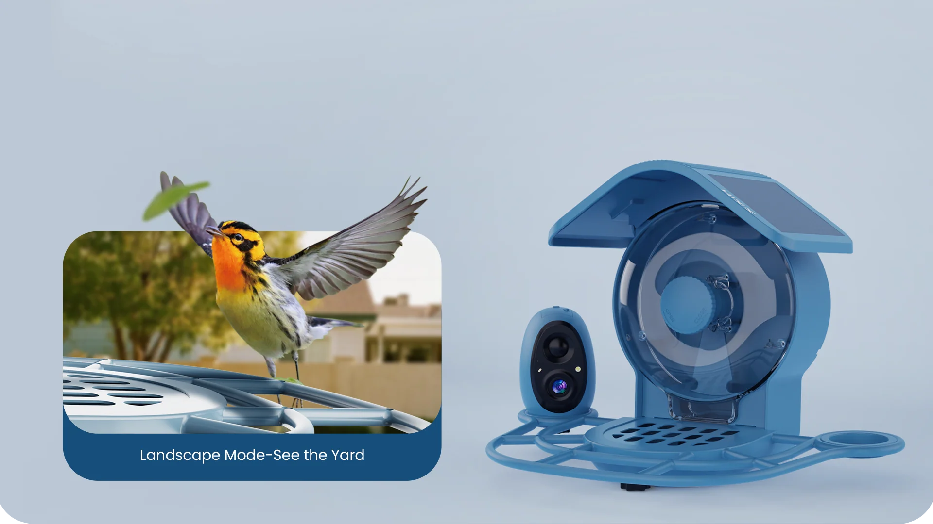 【ネイチャーテック】“AI”と“共感”で北米の野鳥愛好家を熱狂させた「COOLFLY」