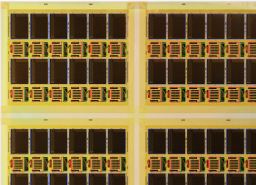 曲げられるAIチップを開発　中国清華・北大の成果が英「ネイチャー」掲載