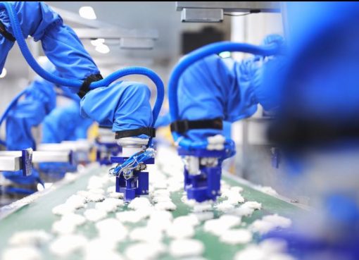 不定形食材を自動処理　中国新興、食品加工「最後の難所」にエンボディドAI